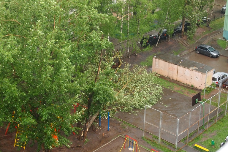 В Перми затопило улицы и поломало деревья