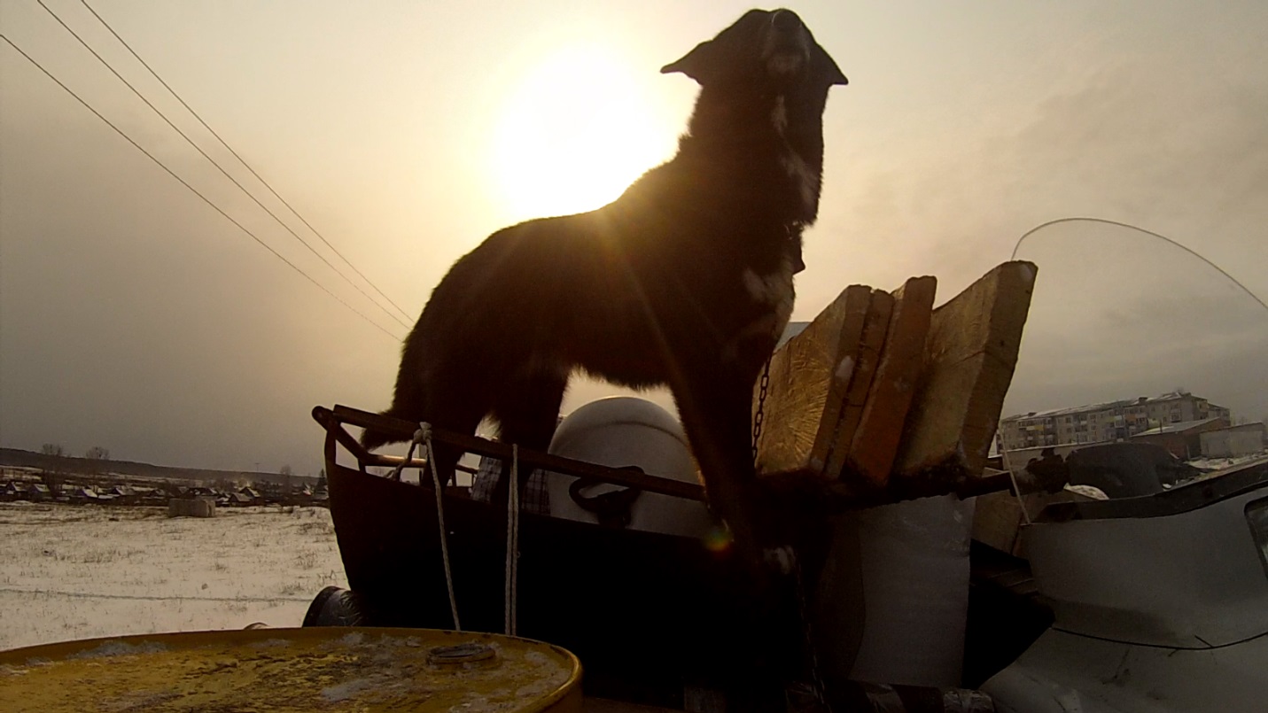 Глоток жизни. Рассказ об удивительном опыте путешествий по зимней Амурской тайге с местными охотниками-промысловикам