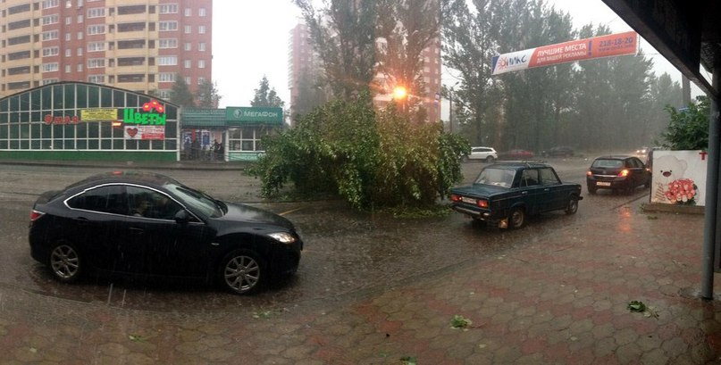 В Перми поваленное ураганом дерево перекрыло улицу Мира