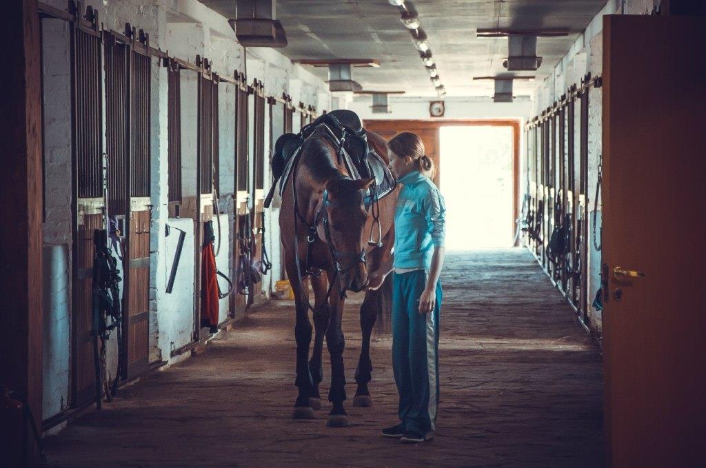 Коней на Ферму отправляют