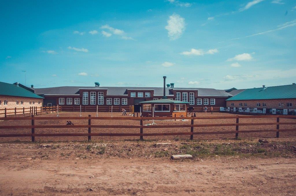 Коней на Ферму отправляют