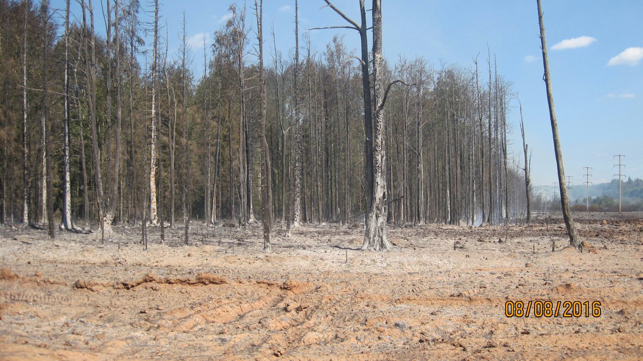 В Прикамье у места прорыва газопровода ликвидируют очаги возгорания сухой травы