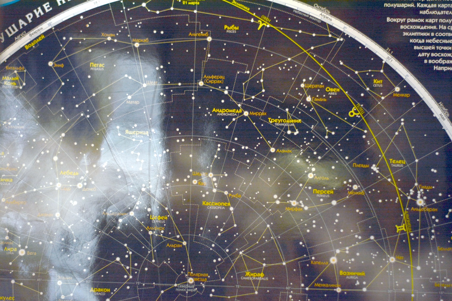 Космос как страсть. Руководитель астрономического клуба «Телескоп» Сергей Полищук – о расширении сознания и поиске жизни во Вселенной