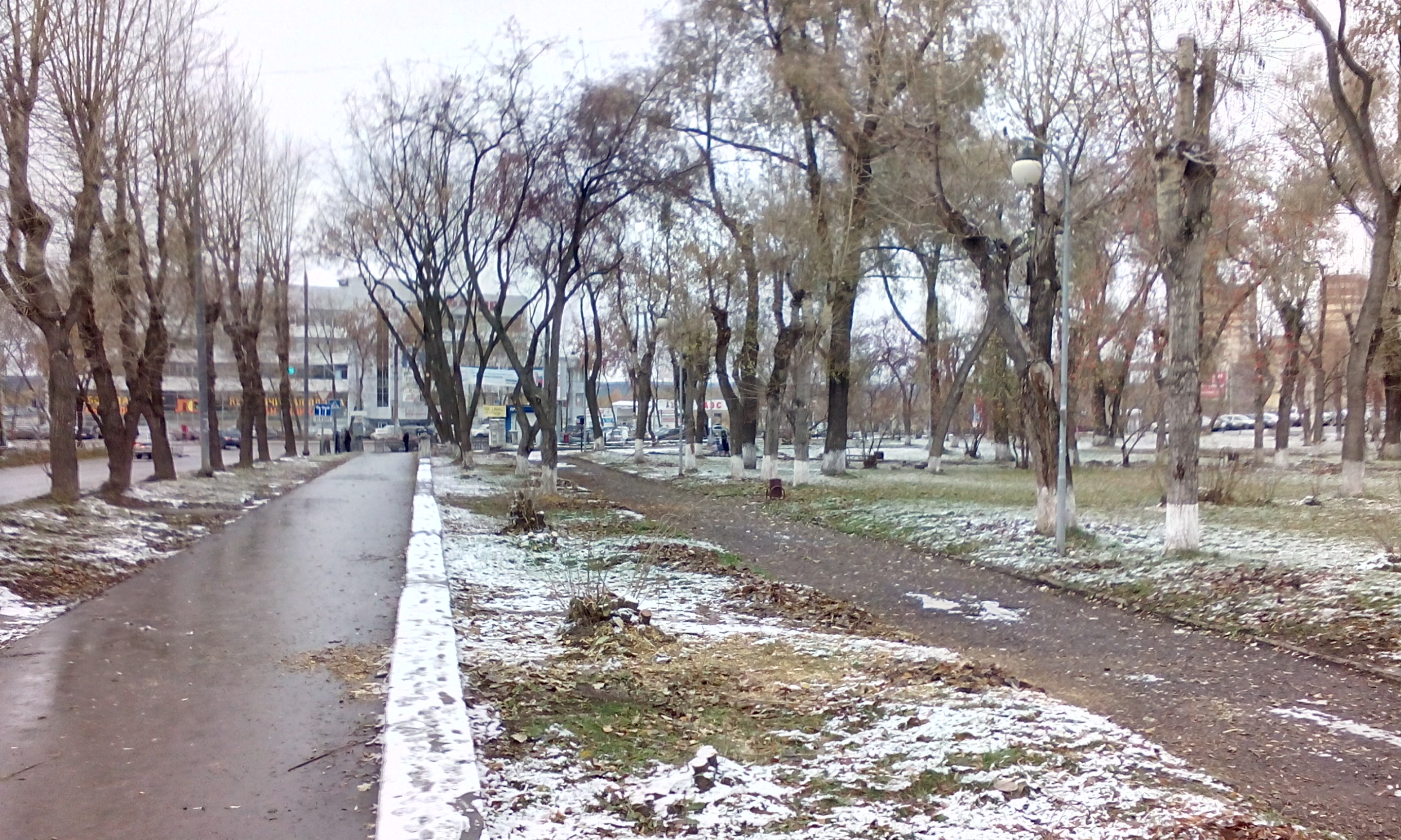В Перми вырубили часть деревьев в сквере Розалии Землячки в Мотовилихе