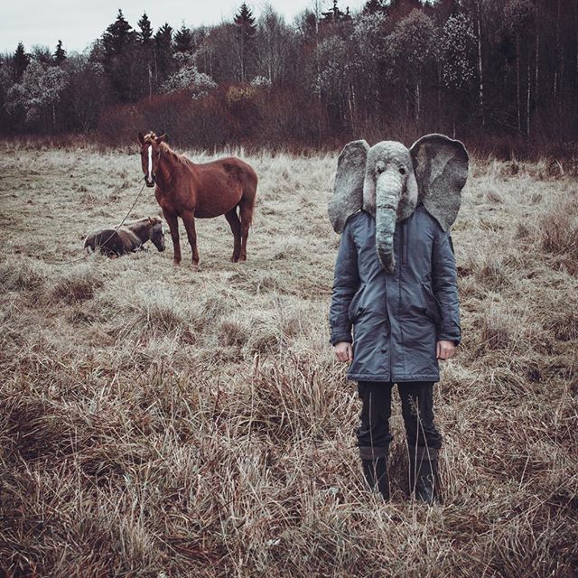 Пермяк в маске ​«грустного слона» завел аккаунт в Instagram