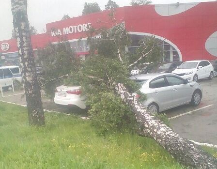 От урагана в Прикамье пострадали автовладельцы (фото)