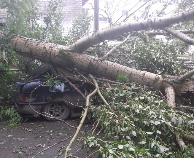 От урагана в Прикамье пострадали автовладельцы (фото)