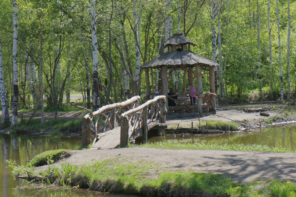В Перми ищут подрядчика для разработки архитектурной концепции Черняевского леса
