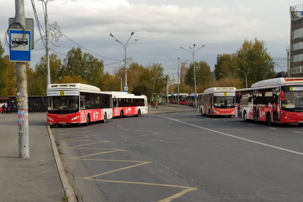 ​В 2023 году увеличились доходы общественного транспорта Перми на 375 млн рублей