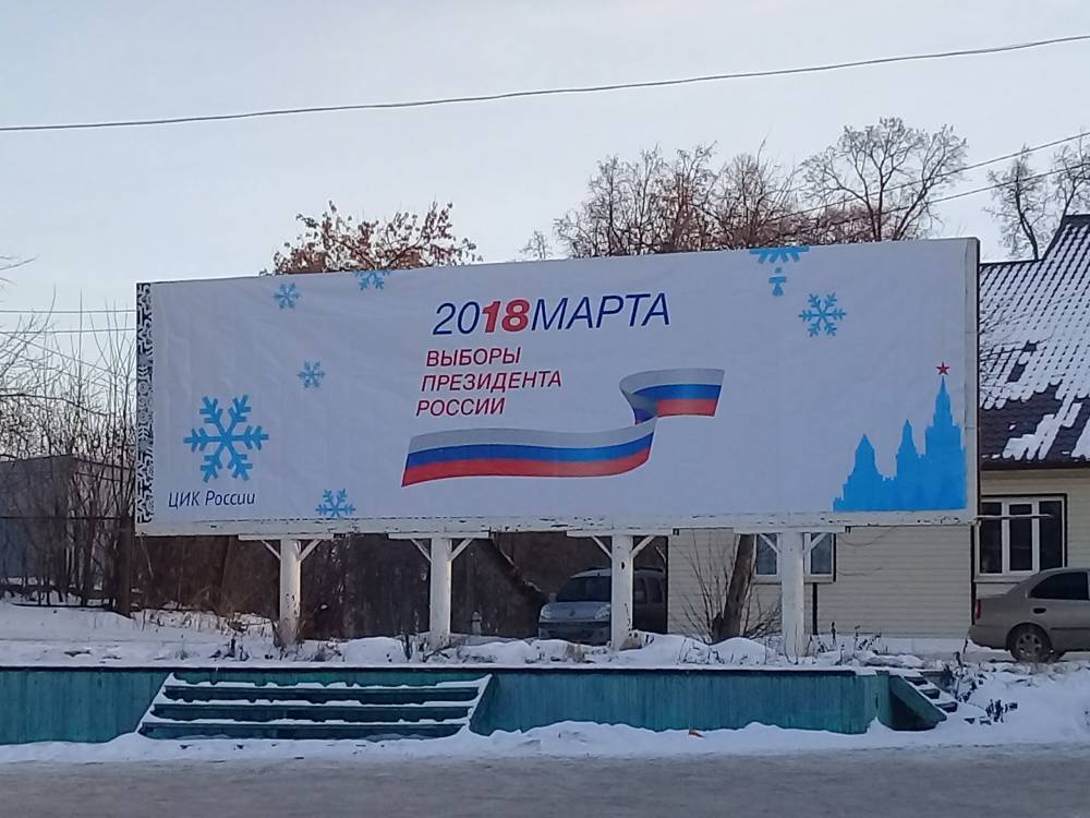Глаз народа: за выборами президента в Пермском крае будут следить почти две тысячи наблюдателей