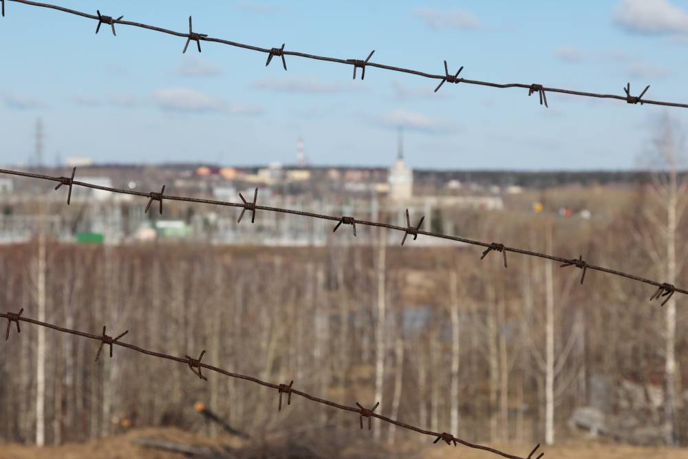 ФСИН опровергла информацию о голодовке в колонии Соликамска