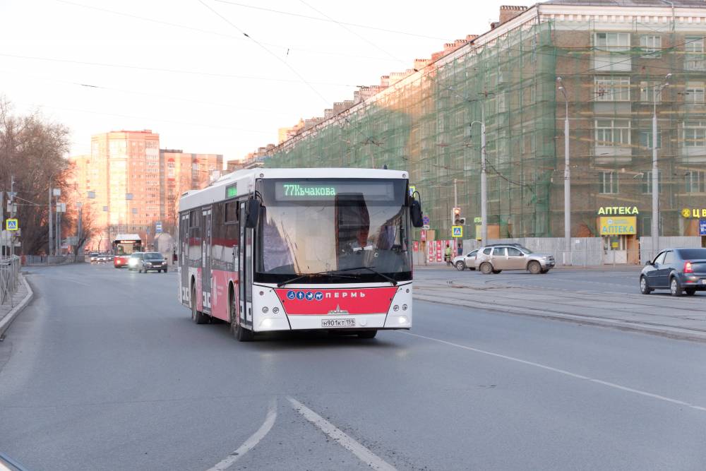 Стали известны маршруты транспорта в Перми с самым большим числом пассажиров за десять месяцев
