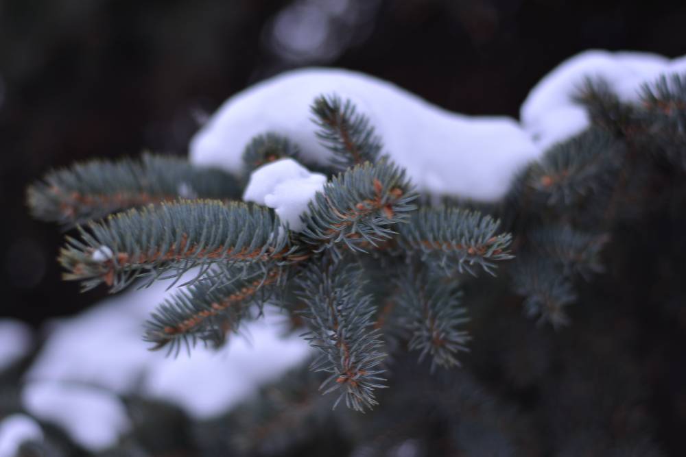 ​В Пермском крае сегодня ожидается продолжительный снегопад