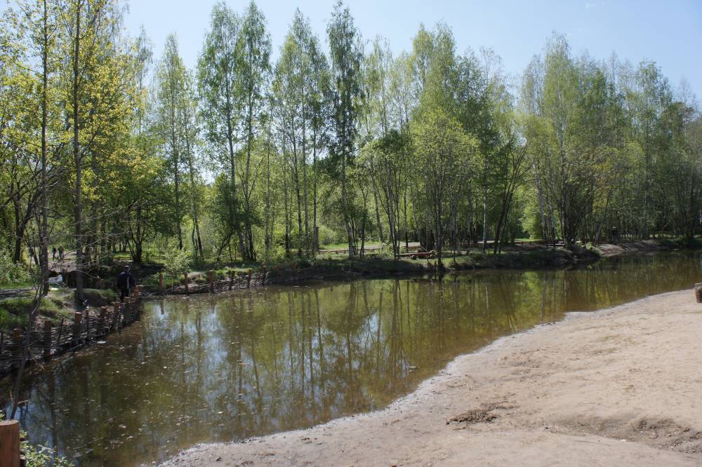 ​Участники экологического забега собрали в Черняевском лесу более тонны мусора 