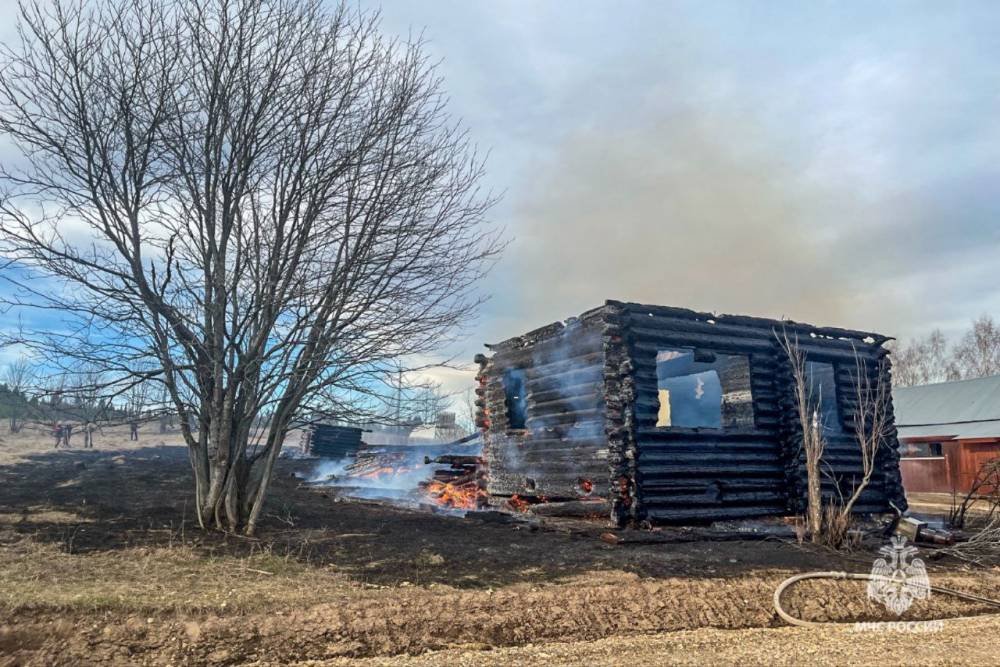 В Прикамье пожарные тушили ландшафтный пожар площадью более 500 квадратных метров 