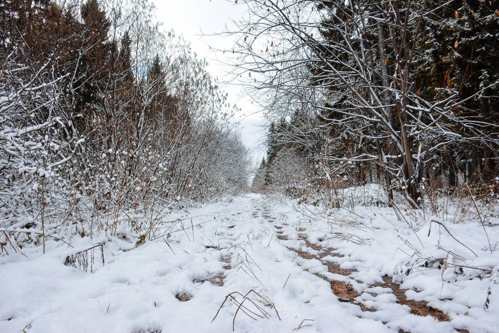 ​В выходные в Пермском крае ожидается снег и потепление до +2 градусов
