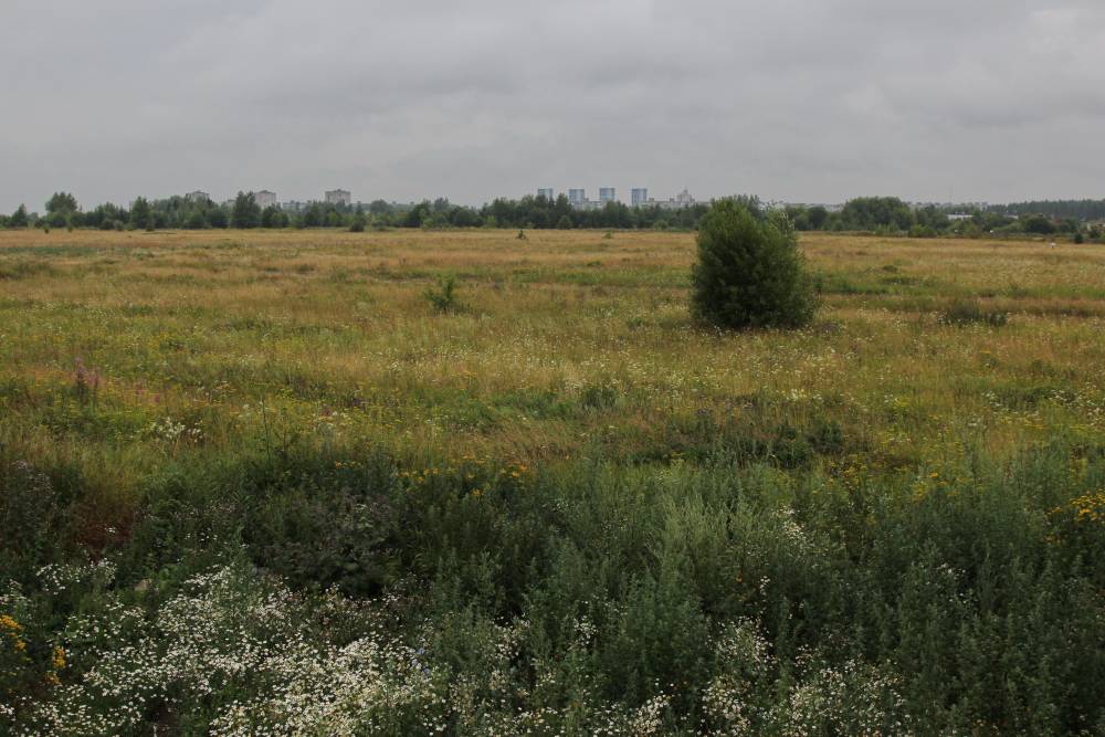 Экс-чиновника из Пермского края будут судить за продажу земель без торгов