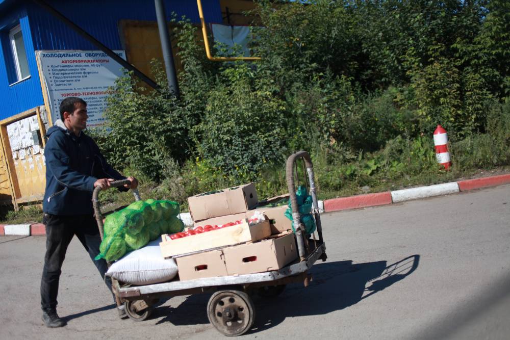В Прикамье ввели запрет иностранным гражданам на работу продавцами и водителями