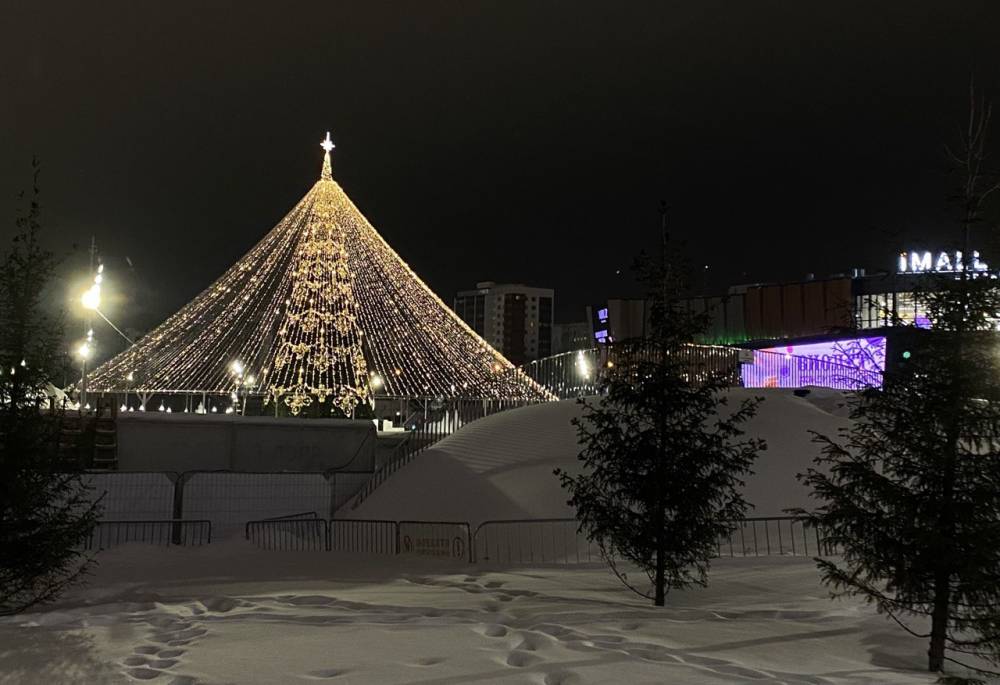 В Пермском крае заработает десять пунктов по сбору праздничных елей 