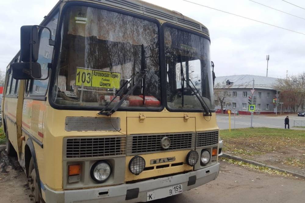 Дотации на автобусные перевозки в крае после реформы составят около 1 млрд рублей в год