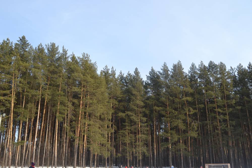В Пермском крае трассу перегородил перевернувшийся лесовоз