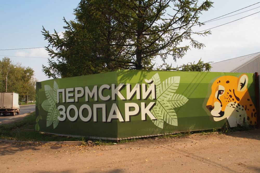 Бывшего куратора строительства Пермского зоопарка могут отпустить из СИЗО под залог