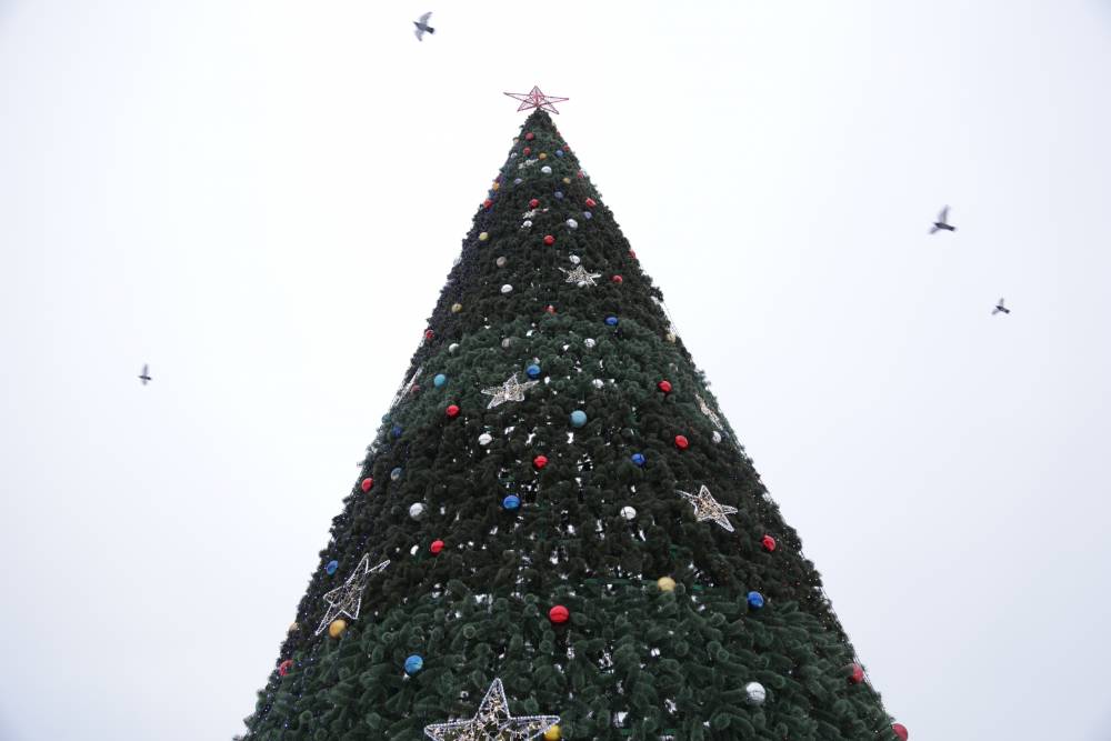 ​На эспланаде в Перми началась установка главной новогодней елки 