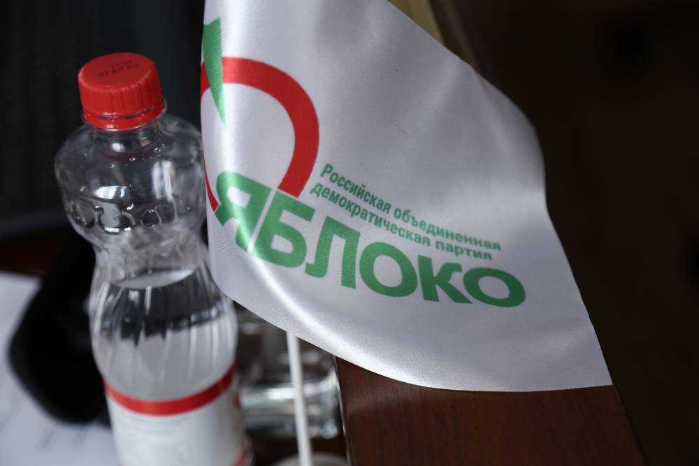 В партии «Яблоко» прокомментировали выдвижение кандидата на выборы губернатора