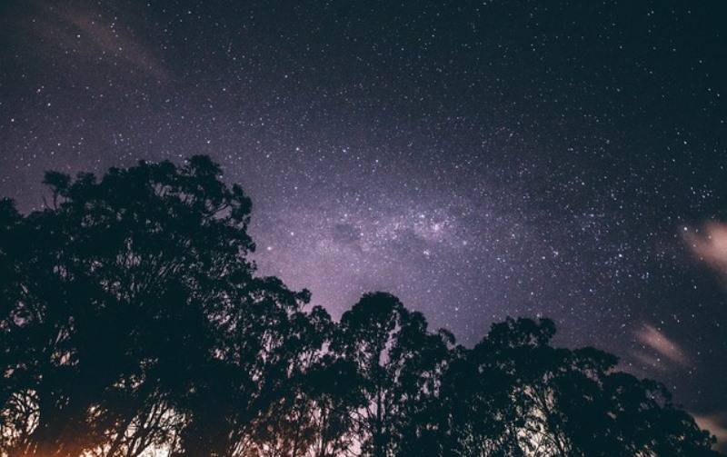 ​До 100 падающих звезд за ночь: пермяки могут увидеть метеорный поток Персеиды  