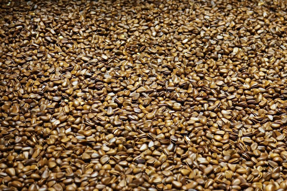 ​Пермский край отправил в Евросоюз 330 тонн семян льна