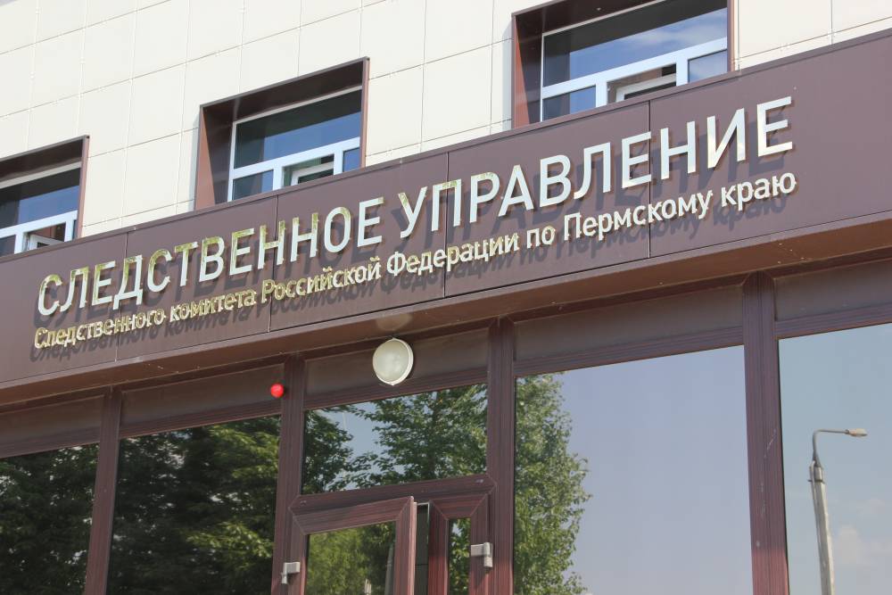 В Пермском крае жительницу осудят за насилие в отношении представителя власти
