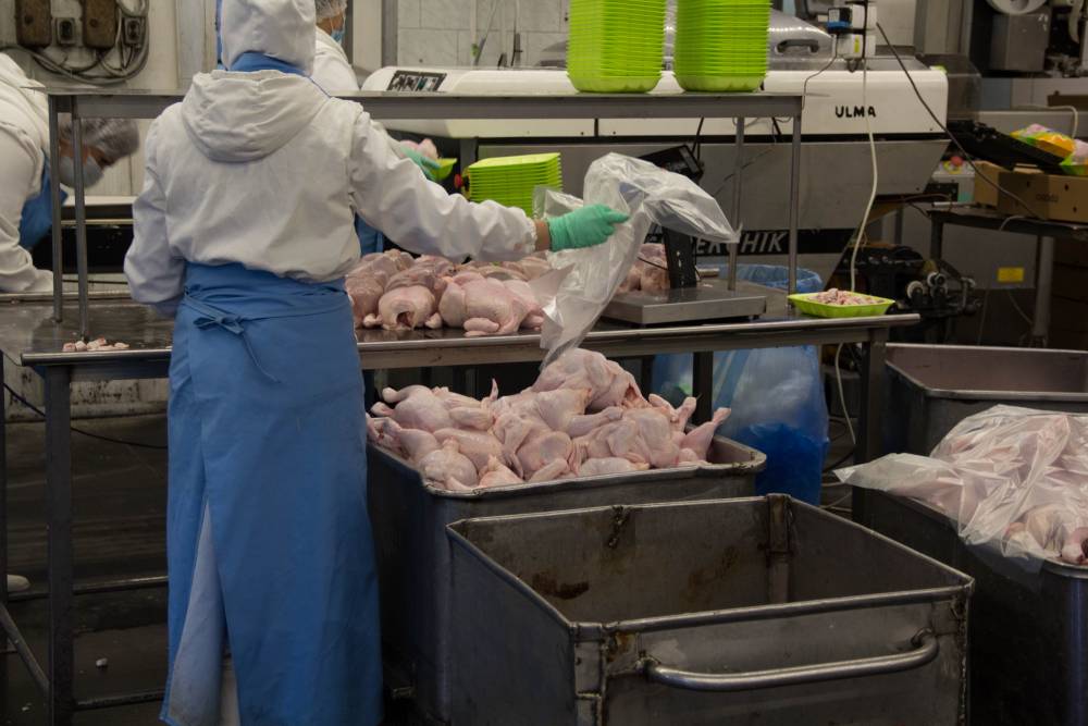 Птицефабрики Прикамья усиливают меры защиты из-за обнаруженного птичьего гриппа