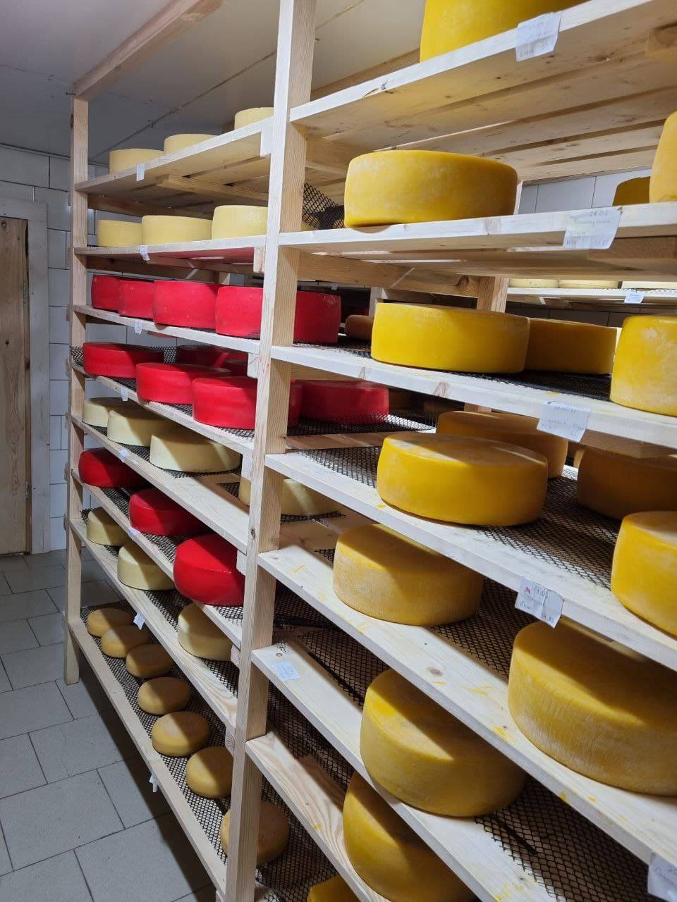 Бизнес и политика молодеет. Большое интервью с Михаилом Петровым