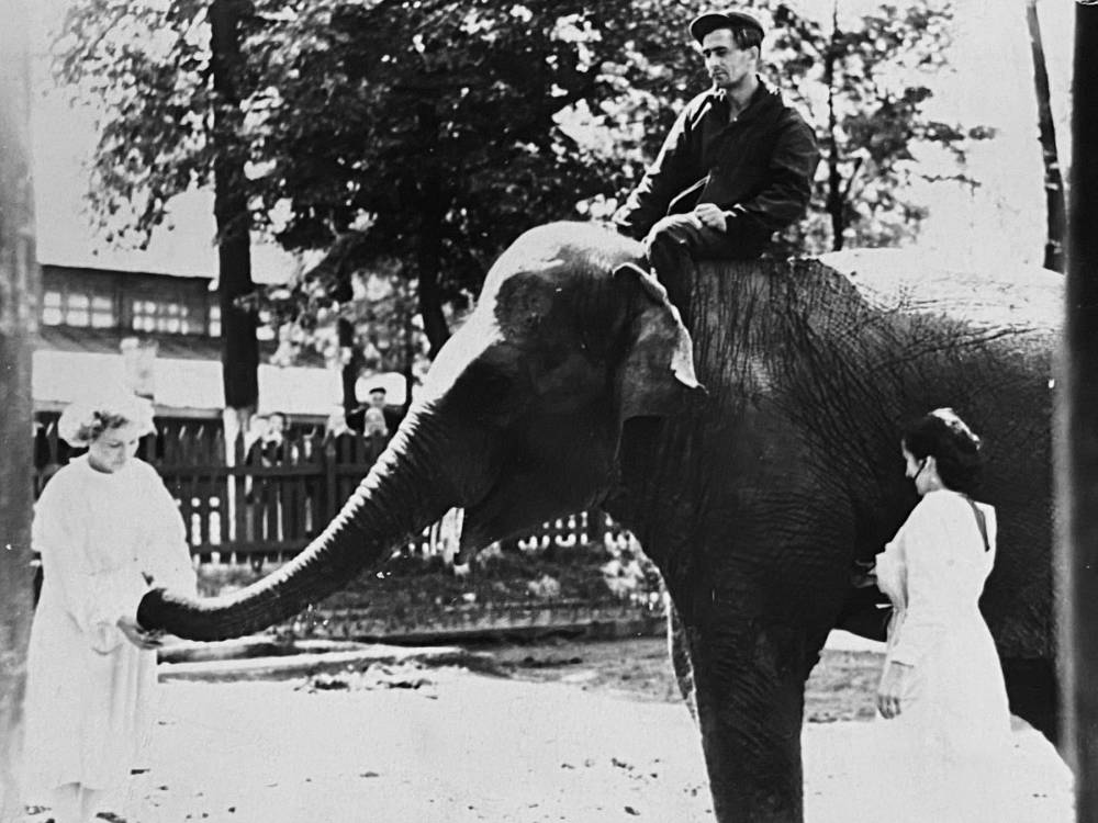 ​Пермский звериный стиль. Как менялся зоопарк за 90 лет своей жизни