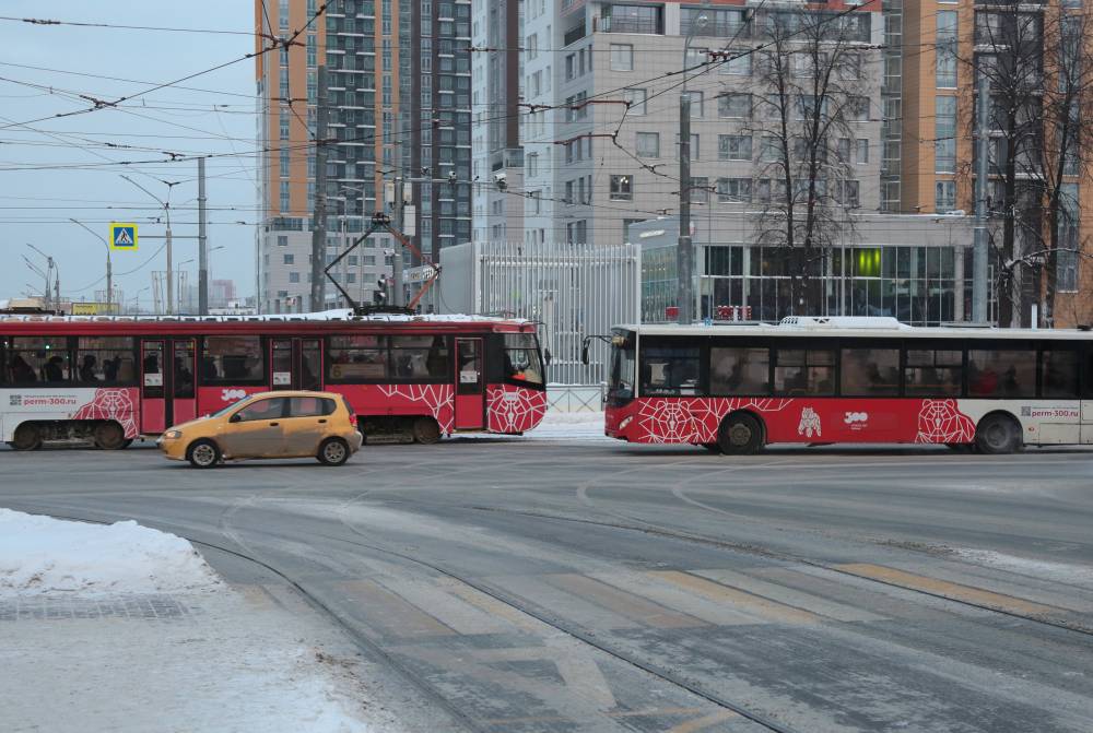 Автобусы с «гармошкой» и продление маршрутов: в Перми готовят изменения транспортной сети