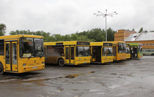 В Перми пассаржирка автобуса сломала руку из-за резкого торможения