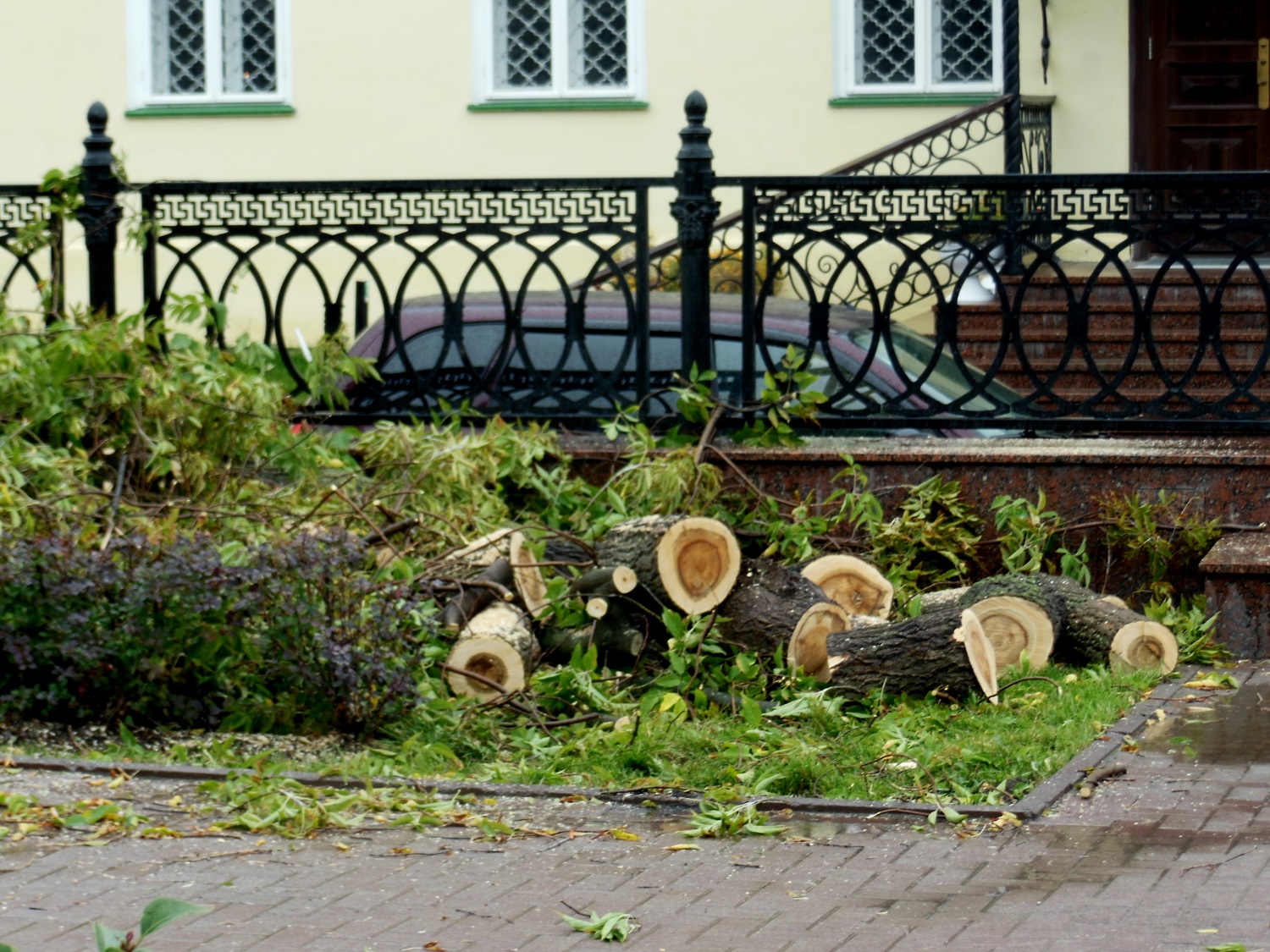 Соборную площадь в Перми очищают от деревьев