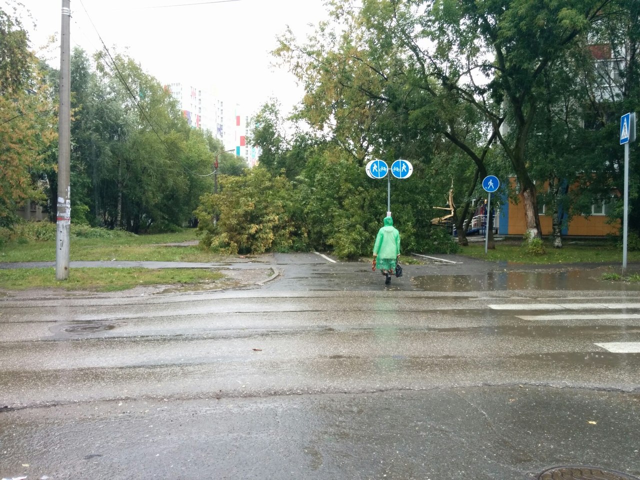 Поваленный рекламный щит, остановки и деревья:  последствия непогоды в Перми в соцсетях
