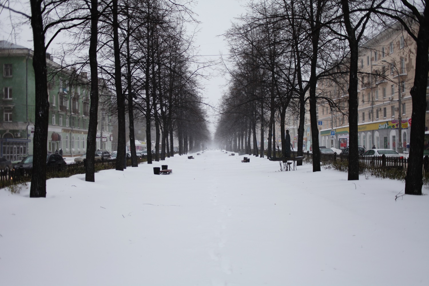 Климатическая зима установилась в Прикамье раньше срока