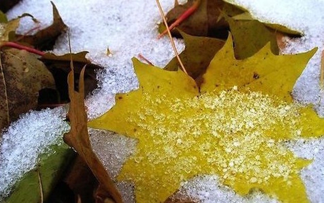 На следующей неделе в Перми ожидается снег и дождь