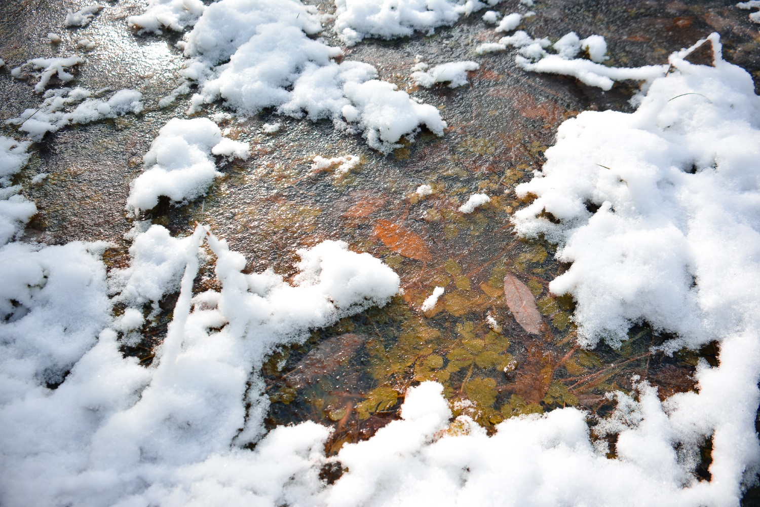 В Чусовском районе обнаружили тело провалившегося под лед мужчины