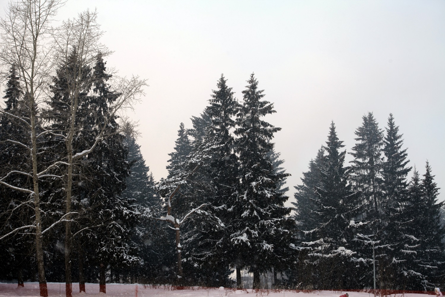 В ночь на 9 декабря в Перми снова ожидается сильный мороз