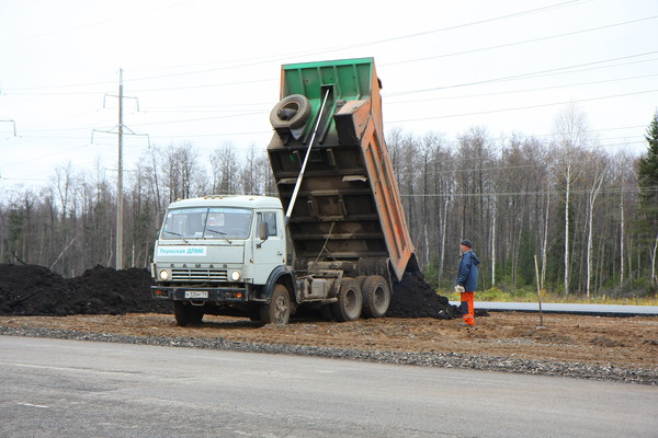 Девочка из Прикамья попросила Владимира Путина отремонтировать дорогу к ее школе