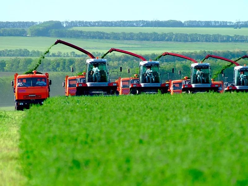 Прикамским аграриям выдадут 120 млн рублей дополнительных субсидий