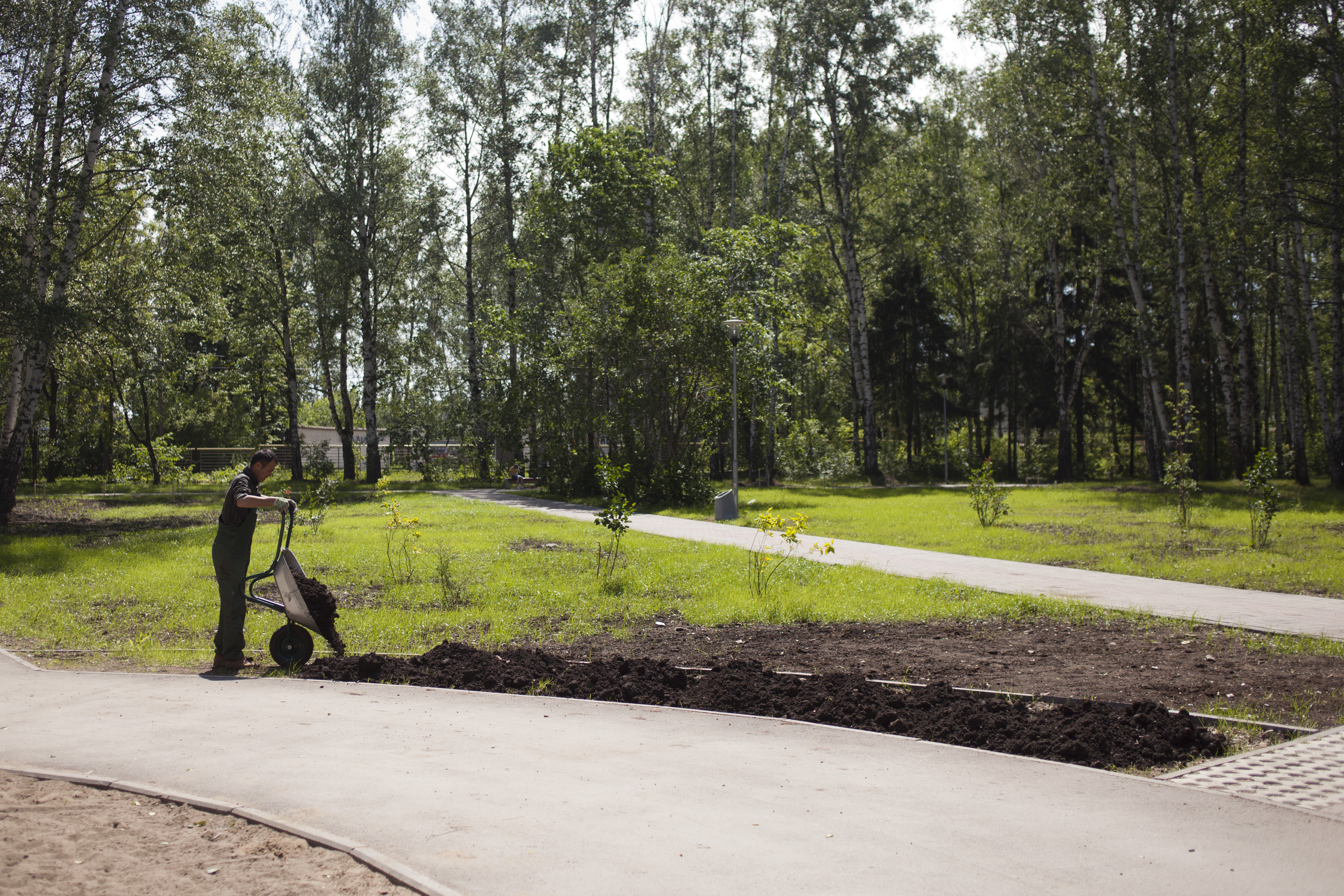 Пермский край готовится к участию в проекте по благоустройству городских парков и дворовых территорий