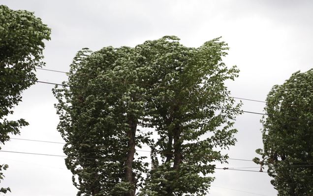 В Перми введен режим повышенной готовности в связи с усилением ветра