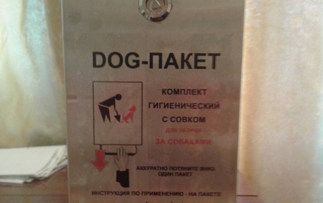 Бокс с пакетами для собачьих экскрементов установят в сквере Декабристов