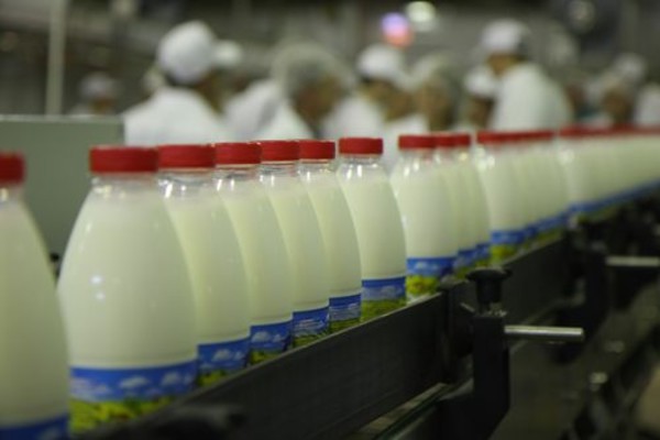 Суточный надой молока в Прикамье составил 1,13 тыс. тонн