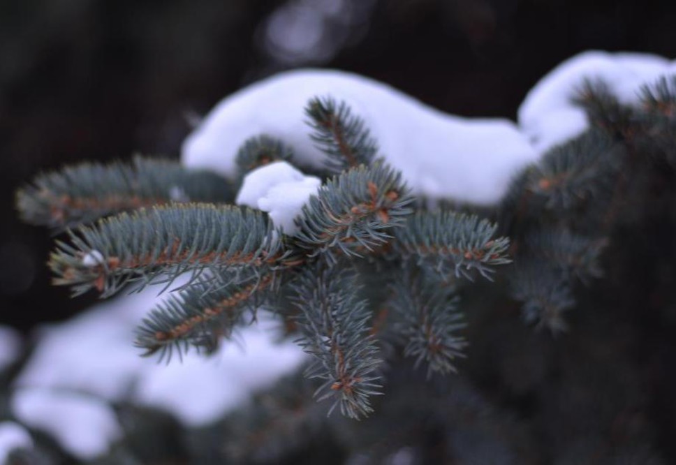 ​7 декабря  в Пермском крае ожидается резкое похолодание