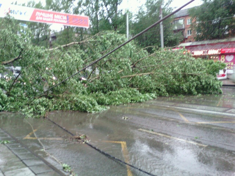 В Перми поваленное ураганом дерево перекрыло улицу Мира